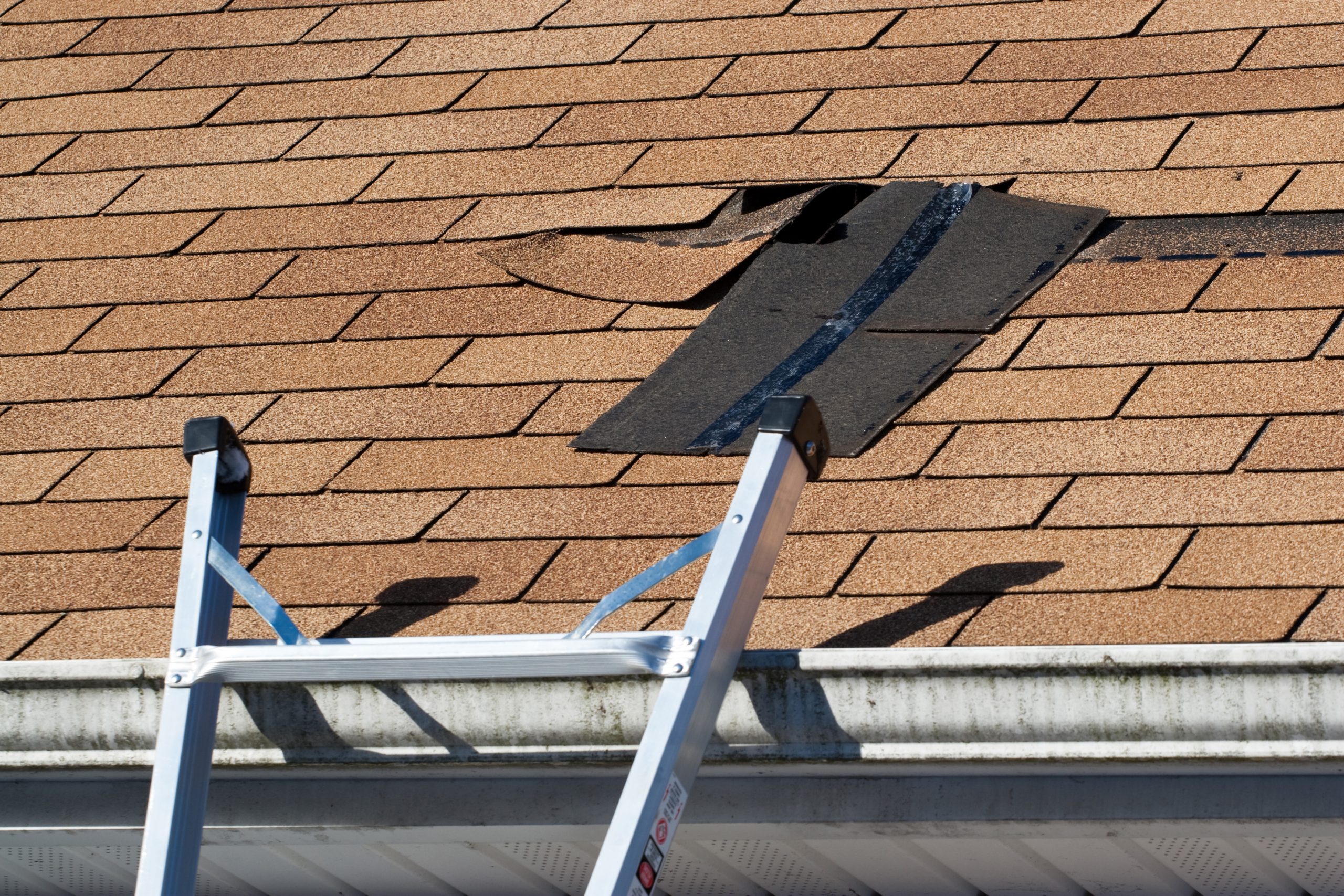 Roof-damage-shingles roofing company